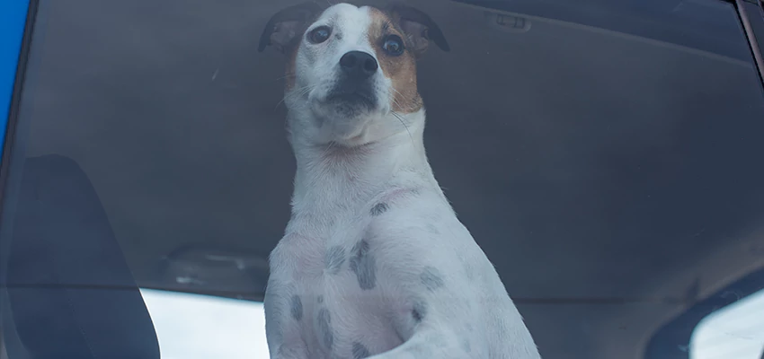 Car Lockout Solutions in Goleta, California